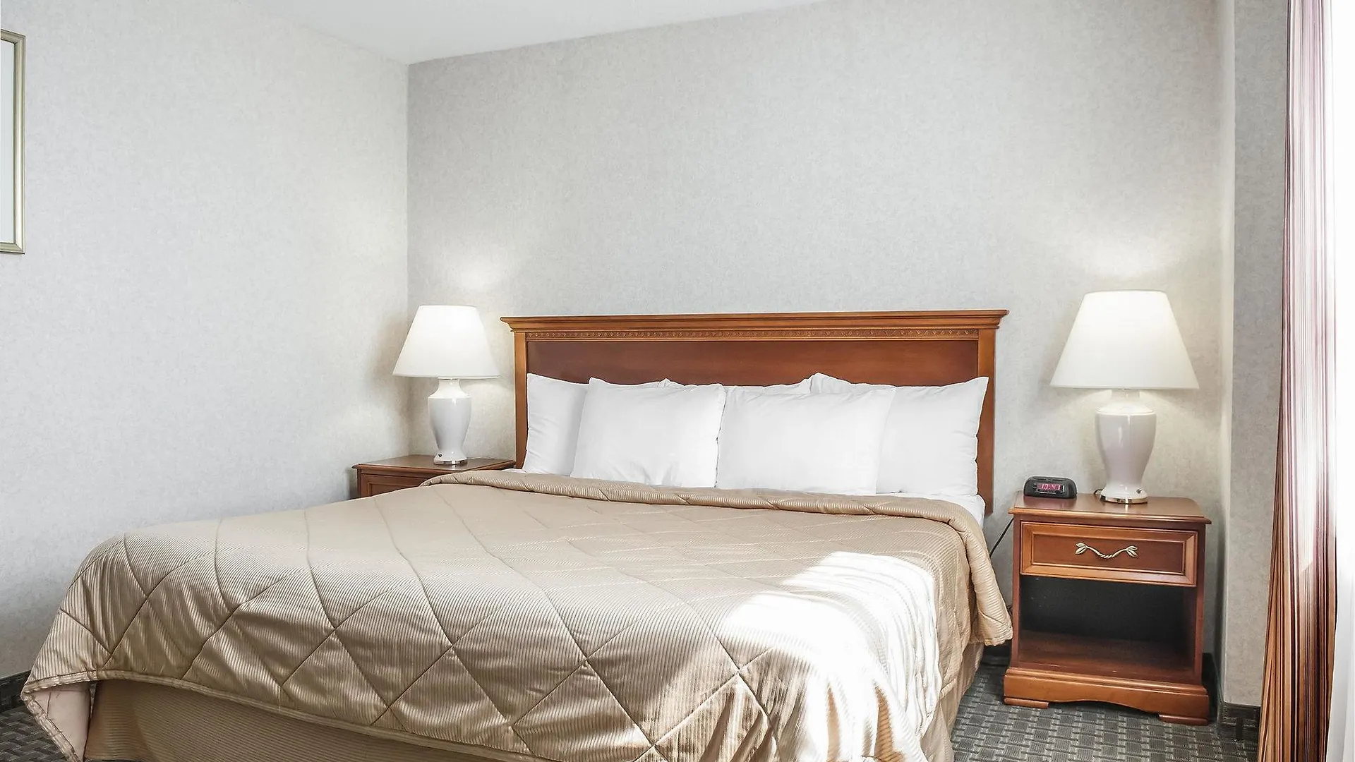 Comfort Hotel Airport North Toronto Canada