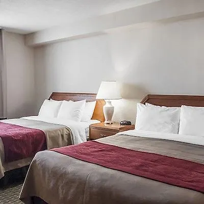 Comfort Hotel Airport North Toronto Canada