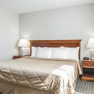 Comfort Hotel Airport North Toronto