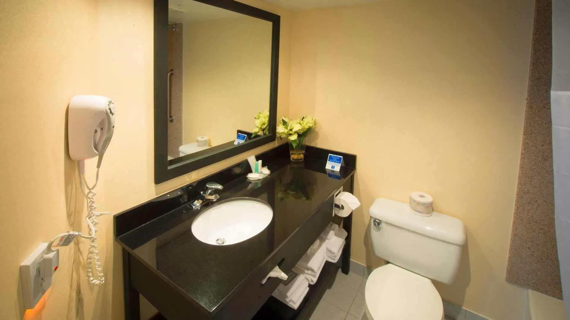 Comfort Hotel Airport North Toronto
